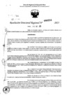Vista preliminar de documento RDR 0253-2025