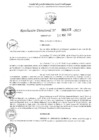 Vista preliminar de documento 1333