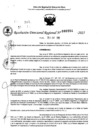 Vista preliminar de documento RDR 0254-2025