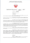 Vista preliminar de documento RD 319-2025 - CONTRA DOC - LEON AGUILAR DIEGO RUIZ