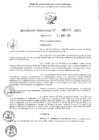 Vista preliminar de documento 1334