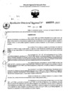 Vista preliminar de documento RDR 0255-2025