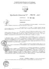 Vista preliminar de documento 1335