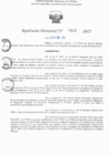 Vista preliminar de documento RD N° 529-2025