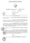 Vista preliminar de documento 1336