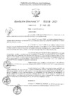 Vista preliminar de documento 1339