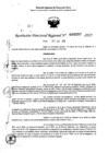Vista preliminar de documento RDR 0257-2025
