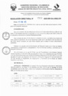Vista preliminar de documento RD N° 532-2025