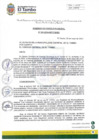 Vista preliminar de documento ACM051-2024-SO