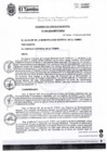 Vista preliminar de documento ACM059-2024-SO