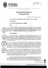 Vista preliminar de documento ACM099-2024-SO