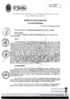 Vista preliminar de documento ACM102-2024-SO