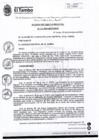Vista preliminar de documento ACM114-2024-SO