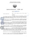 Vista preliminar de documento RD 0069-2025 NX