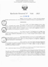 Vista preliminar de documento RD N° 546-2025