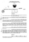Vista preliminar de documento RDR 0260-2025