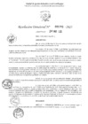 Vista preliminar de documento 1355