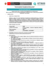 Vista preliminar de documento 01.Bases CAS N° 017-2025