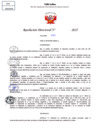 Vista preliminar de documento Resolucion Directoral N° 002172-2025