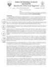 Vista preliminar de documento R.D.R N°1206-2024-DG