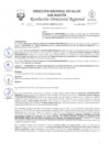 Vista preliminar de documento R.D.R N°1213-2024-DG