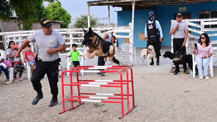 Demostración canina