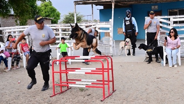 Demostración canina
