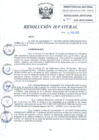 Vista preliminar de documento RJ 021-2025 ENCARGA FUNCIONES DE JEINS DEL 17 A 22 FEB 2025 AL COR FAP C PEREYRA CON RETENCION A SU CARGO DE GERGE CONIDA