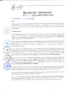 Vista preliminar de documento RESOLUCION DIRECTORAL N°066-2025-GRH-DRS-HTM