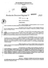 Vista preliminar de documento RDR 0263-2025