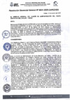 Vista preliminar de documento RGG N° 0031-2025-CAFED-GG