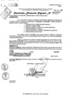 Vista preliminar de documento RDR 0265-2025