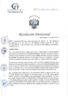 Vista preliminar de documento RD N°075-03-2025-DE-HCLLH-MINSA
