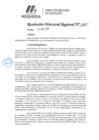 Vista preliminar de documento 077 2025