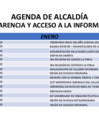 Vista preliminar de documento AGENDA DE ALCALDÍA 2025