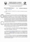 Vista preliminar de documento RD N° 553-2025