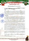Vista preliminar de documento RESOLUCION GERENCIAL N° 075-2025-...