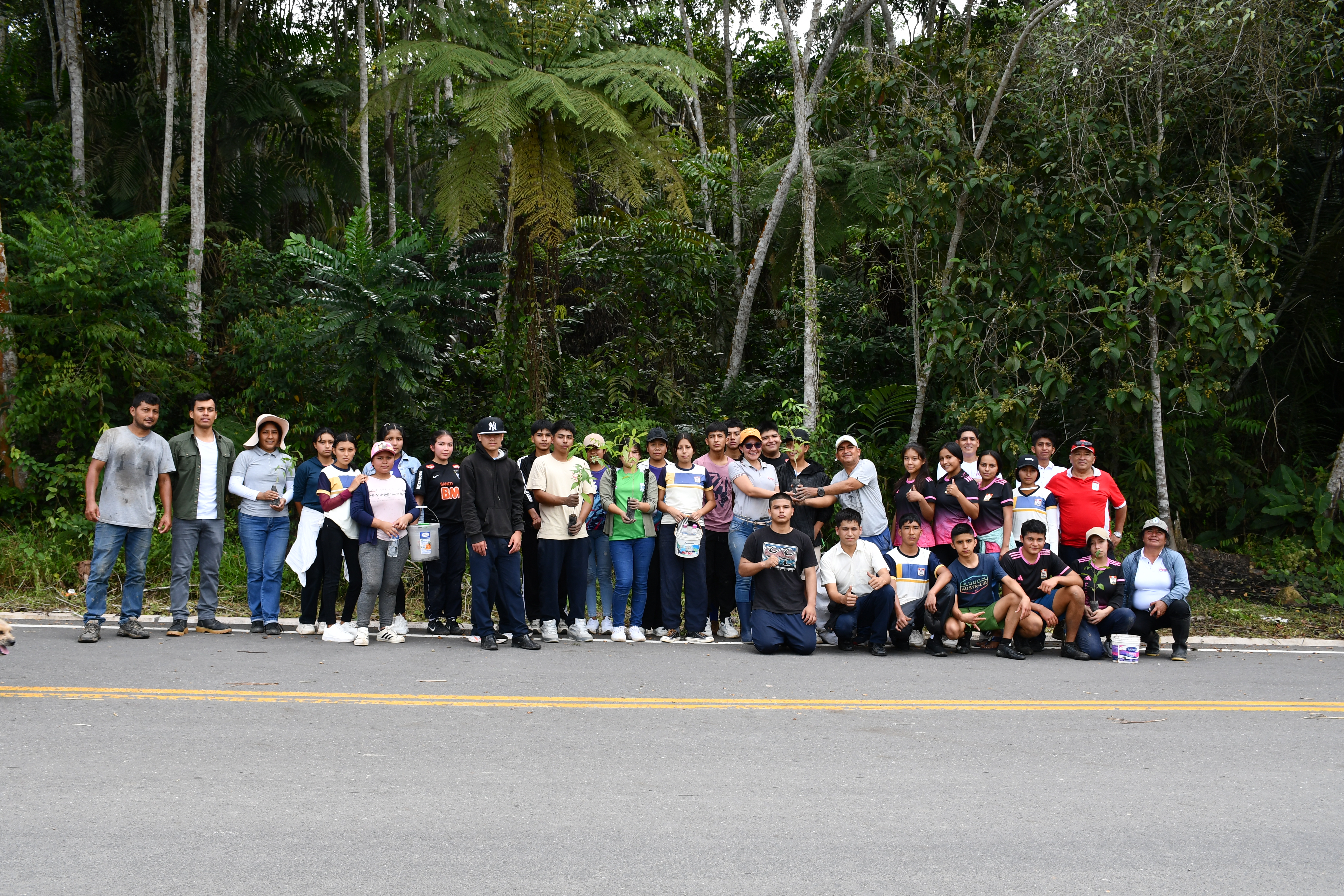 Día Internacional de los Bosques