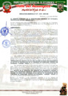 Vista preliminar de documento RESOLUCION GERENCIAL N° 077-2025-...