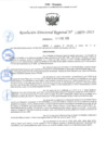 Vista preliminar de documento 079 2025