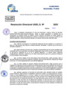 Vista preliminar de documento Resolucion Directoral N° 002206-2025