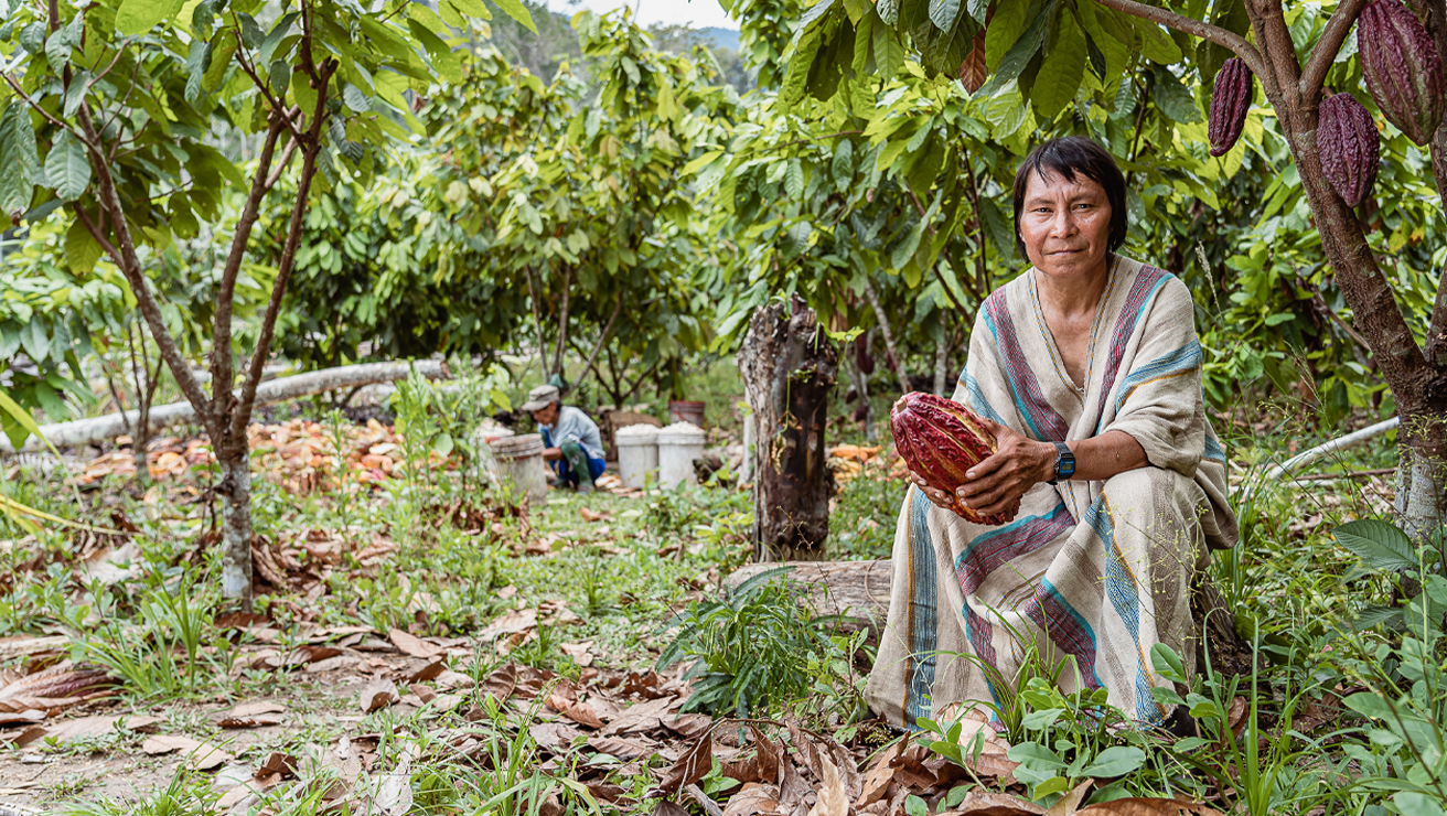 Cacao
