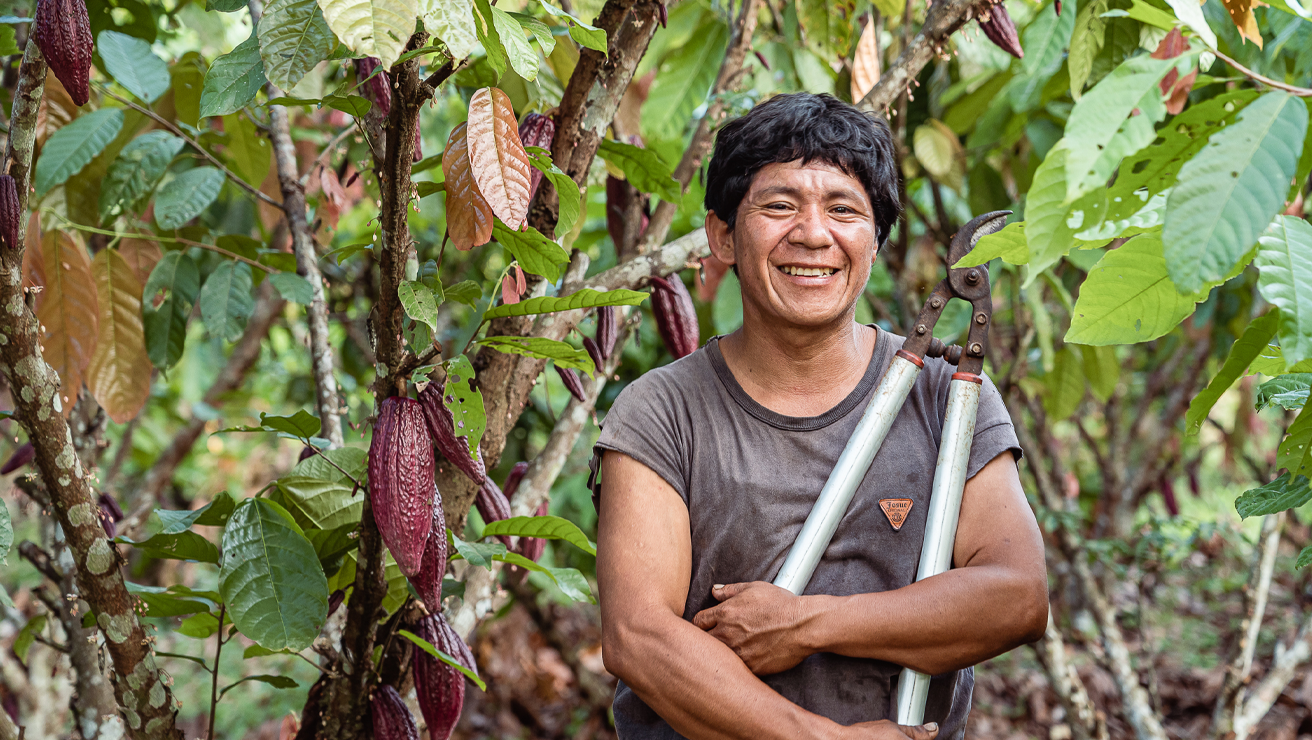 Cacao2