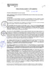 Vista preliminar de documento RA25N121
