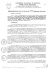 Vista preliminar de documento RDR003-2025-ARAU
