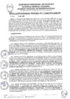 Vista preliminar de documento RGR0123-2025-GRI