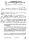 Vista preliminar de documento RDR 066-2025