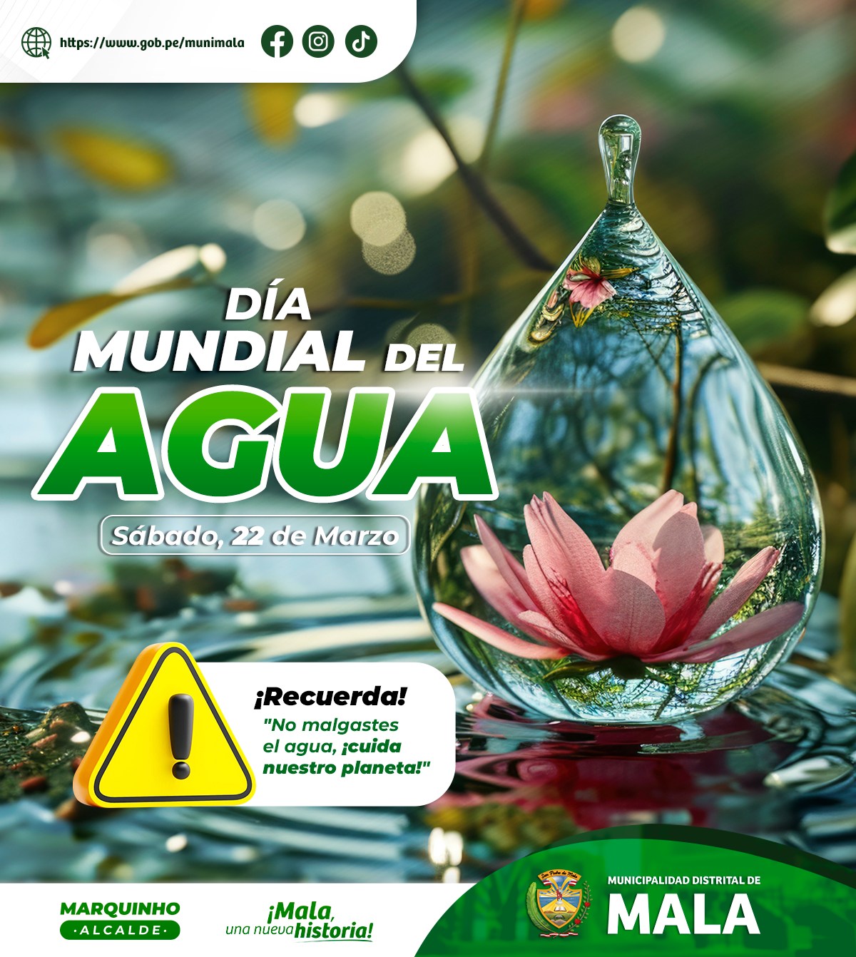 Día Mundial del Agua
