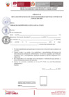 Vista preliminar de documento ANEXOS - PROCESO CAS N° 12