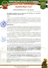 Vista preliminar de documento RESOLUCION GERENCIAL N° 041-2025-...